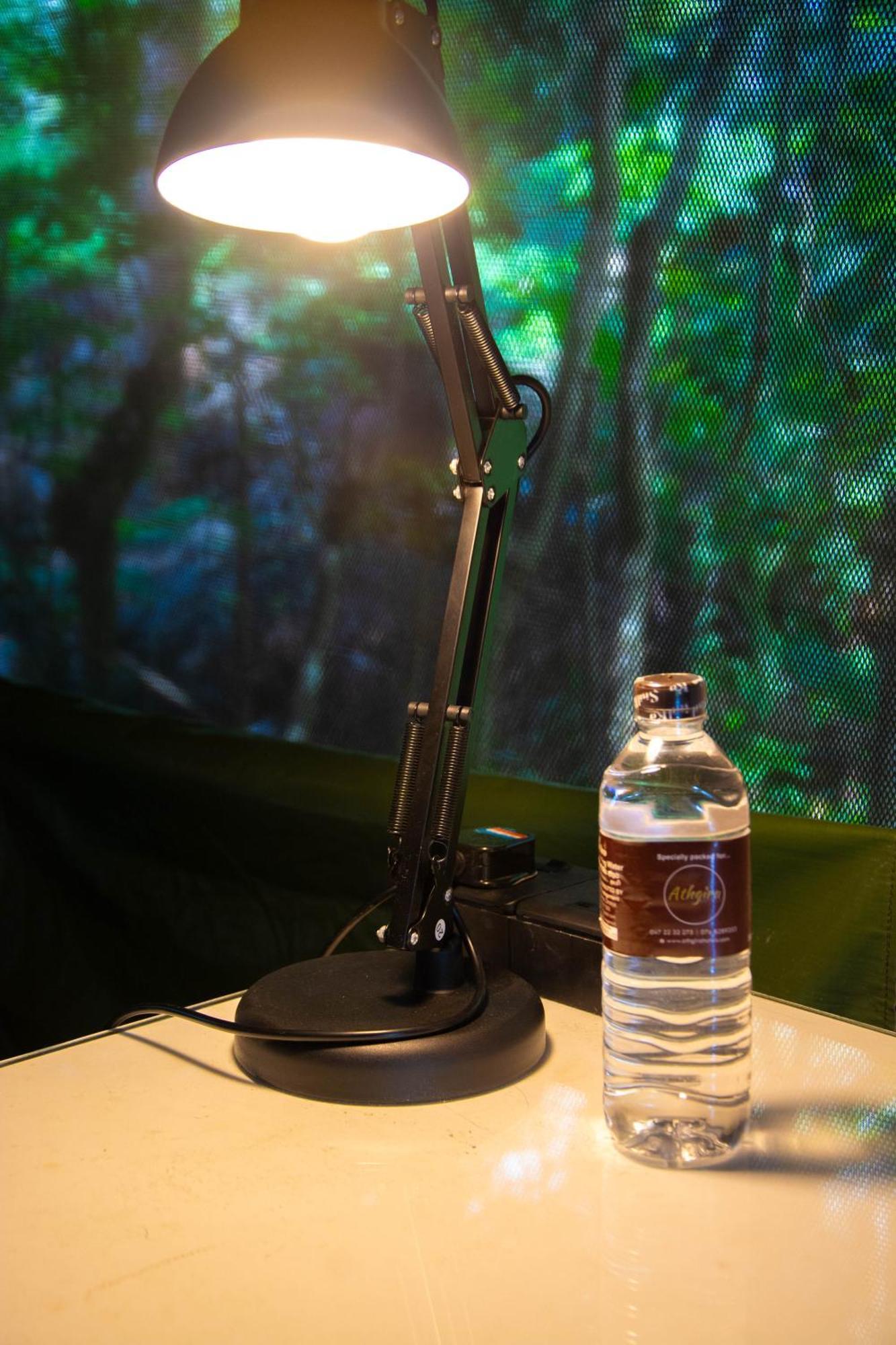 Athgira River Camping - ウダワラウェ エクステリア 写真
